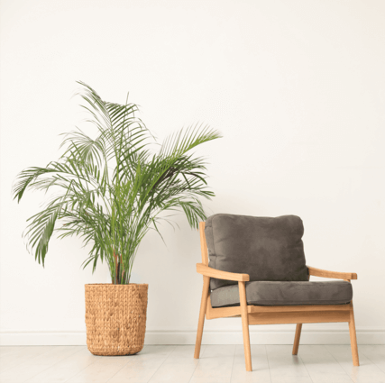 Chairs and Recliners